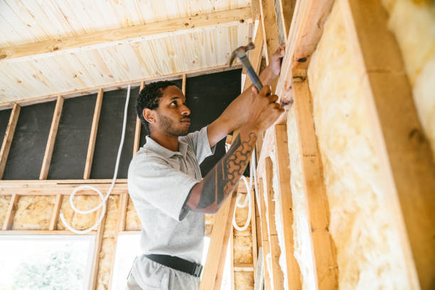 Best Insulation Contractors for Homes  in USA